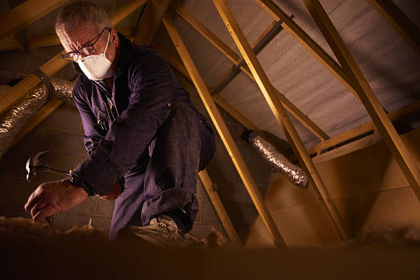 Best Specialty Insulation in Orland Park, IL